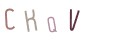 CAPTCHA 2