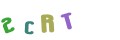 CAPTCHA 2
