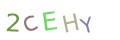 CAPTCHA 2