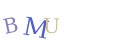 CAPTCHA 2