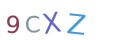 CAPTCHA 2