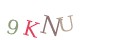 CAPTCHA 2