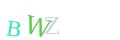 CAPTCHA 4