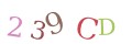 CAPTCHA 4