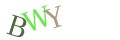CAPTCHA 4
