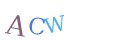 CAPTCHA 4