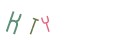 CAPTCHA 5