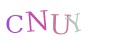 CAPTCHA 5